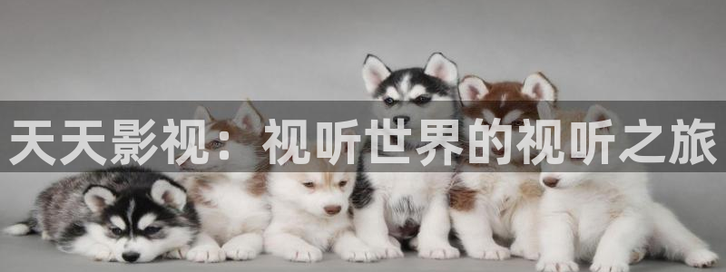 神秘电影198840：天天影视：视听世界的视听之旅