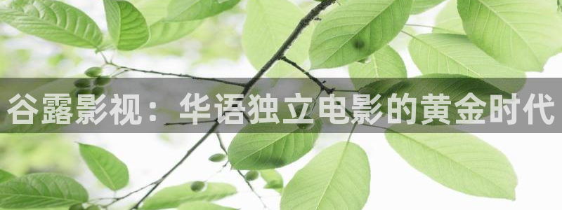 99精品视频98：谷露影视：华语独立电影的黄金时代
