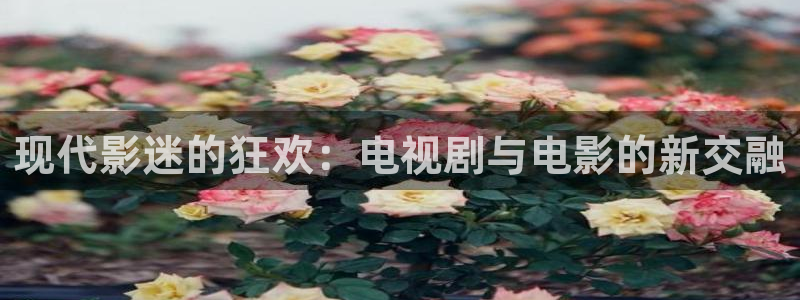 989影院：现代影迷的狂欢：电视剧与电影的新交融