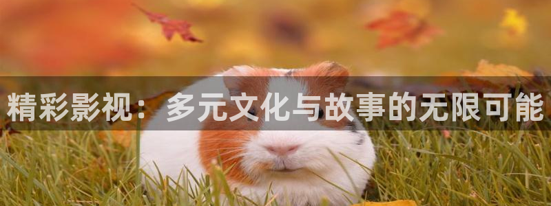98在线高清：精彩影视：多元文化与故事的无限可能