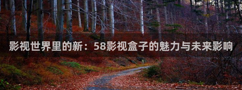 98超碰在线观看：影视世界里的新：58影视盒子的魅力与未来影响