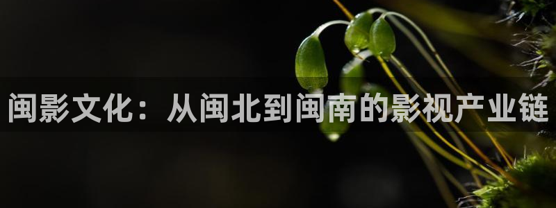 98k影院：闽影文化：从闽北到闽南的影视产业链