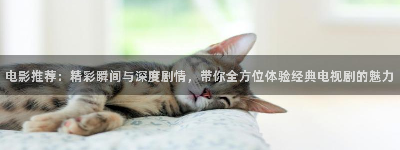 请回答1988在线观看免费西瓜：电影推荐：精彩瞬间与深度剧情，带你全方位体验经典电视剧的魅力